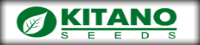 Kitano Kitano